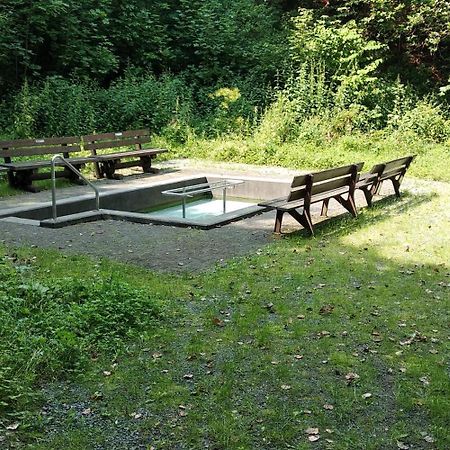 Bergzeit In Langewiese - Appartment Landelijke Star 温特贝格 外观 照片