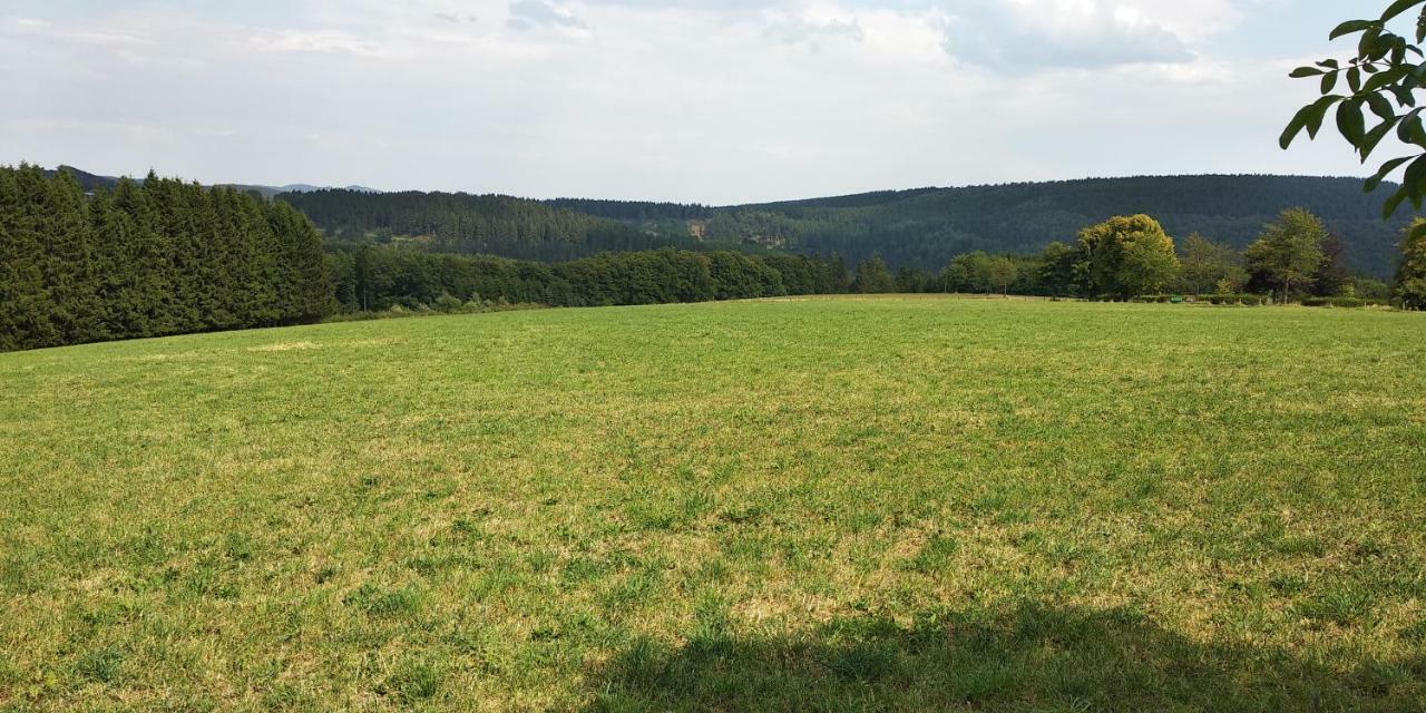 Bergzeit In Langewiese - Appartment Landelijke Star 温特贝格 外观 照片